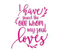 Vinyl Wall Decals I Have Found The One Whom My Soul Loves Quotes 34x41.4cm Car Body Decoration Rosered