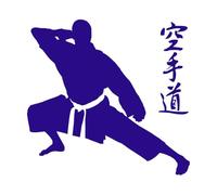 Vinyl Wall Decals Martial Arts Pose Symbol Extreme Sports & Fighting Wall Sticker Sport Art Decals for Boys Bedroom-S-49x50cm