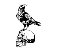 Vinyl Wall Stickers Bird Raven Skull Skeleton Gothic Style 48x80.3cm Art Mural Painting Large Black