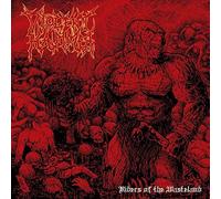 VIOLENT HAMMER - RIDERS OF THE WASTELAND - CD - J3z