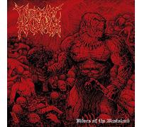 Violent Hammer - Riders Of The Wasteland [VINYL]