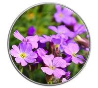 Violet Flower Pin Badge 25mm Metal Lapel Gift R353