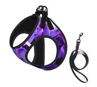 Violet Flower Print Dog Harness Small Sized And Leash Set, Step In Soft Light Puppy Vest Breathable Mesh Pet Harness