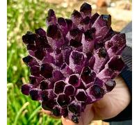 Violet Ghost Phantom Quartz Crystal Cluster 1pcs Ornaments (Size : 400-500g) Gemstone Stone