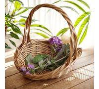 Violiica Handwoven Willow Wicker Basket with Handle, Oval Storage Picnics Fruit Home Decor, Natural Brown Small 23x16x23cm