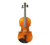 Violin 1/4 1/2 3/4 4/4 Violin With Canvas Case And Brazilwood Bow (Color : 1/2)