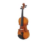 Violin 4/4 1/4 1/8 Acoustic Solid Wood Fiddle Basswood Violin Kits Stringed Instrument With Case Bow Stand (Color : 4-4 Violin)