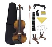 Violin 4/4 Acoustic Solid Wood Violin Spruce Maple Fiddle Stringed Instrument Beginner With Bow Case Stand Strings (Color : 4/4 Violin Set)