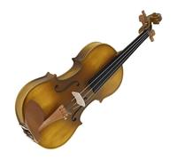 Violin 4/4 Acoustic Spruce Solid Accessories(Type 2)