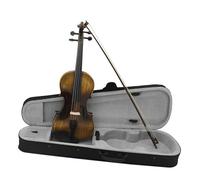Violin 4/4 Acoustic Violin Fiddle With Bow Case Stringed Instrument Retro Bright Maple Body Violin Beginner