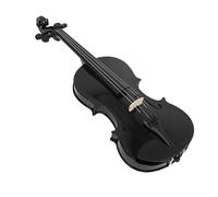 Violin 4/4 Advanced BK Violin Acoustic Solid Wood Violino Professional Stringed Instrument Violin With Bow Box