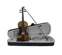 Violin 4/4 Bright Color Popularize Violin For Beginners Suit For Course Practice Student Stringed Instrument (Color : Violin)