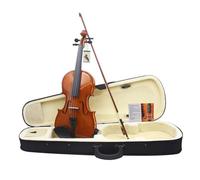 Violin 4/4 Electric Violin Acoustic Natural Surface Maple Back Electric Violin Case Shoulder Rest Parts Accessories (Color : 4/4 Set)