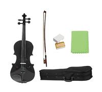 Violin 4/4 Full Size Black Acoustic Violin Fiddle With Case Bow For Violin Beginner Stringed Instruments