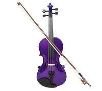 Violin 4/4 Full Size Solid Wood Acoustic Violin For Violin Beginner With Case And Bow Green/Purple Color Fiddle(Purple)
