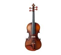 Violin 4/4 Size Fiddle Acoustic Violin Fiddle Student Violin With Triangle Case Bow Strings Whole Set