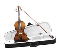 Violin 4/4 Violin Acoustic Violino Vintage Style Violin With Case Bow Beginner For Adults (Color : 4/4)