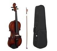 Violin 4/4 Violin Basswood Body Head Ebony Fingerboard Peg Chin Rest Tailpiece Violin For Beginner With Bow Storage Case