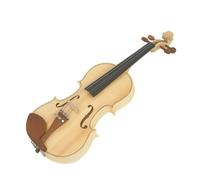 Violin 4/4 Violin Hand Carved Log Color Violin Set For Practice Stringed Instruments Violin With Case Bow Accessories (Color : 4/4 Set)