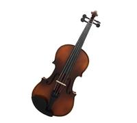 Violin 4/4 Violin Maple Wood Beginner Violin With Violin Shoulder Rest Box Strings Handle Sticker Loudspeaker Parts Set