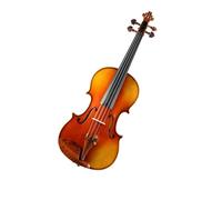 Violin Adult Violin Practice Test And Beginner Violin Set (Color : 1/2)