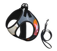 Violin and Book print Dog Harness and Leash Set, Reflective Adjustable Puppy Vest for Small Medium Large Dogs, Cats