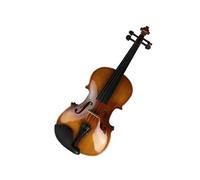 Violin Craft Pattern Adult Violin Solid Wood Grade Exam Performance Manual Beginner Practice (Color : 4/4)
