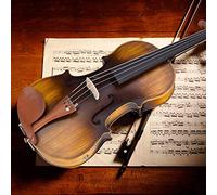 Violin For Beginners Featuring Matte Finish, Beginner Acoustic Violins With Electro Acoustic EQ, Fiddle Kit Including Case Rosin Bow for Music Learners