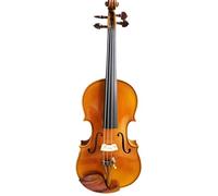 Violin for Beginners Spruce Handmade Violin Strong Tone Varnish Violin 4/4 Professional Golden Violino(1/2)