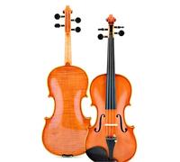 Violin Full Page Adult Professional Playing Handmade Violin (Color : 1/2)