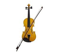 Violin Full Size Kit for Adults Beginner, Student Acoustic Violin Full 4/4 Maple Spruce with Case Bow Rosin All Gold Color