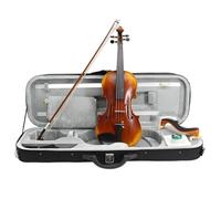 Violin Instruments Professional Violin Made With Spruce Wood A Professional Musical Instrument