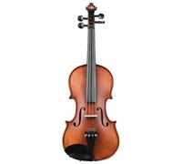 Violin Instruments Violin Performance For Exams Beginner Level Manual Practice And Introduction(4/4)