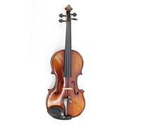 Violin Kit 20 Years Old Naturally Dried Stripes Maple 4/4 Hand-made Single Board Professional Violin