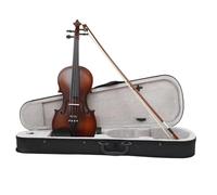 Violin Kit Matte 4/4 Solid Wood Natural Acoustic Violin For Beginner Basswood Fiddle Musical Instrument With Violin Parts(Violin)