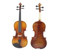 Violin Kit Professional 4/4 3/4 1/2 1/4 With Case Bow Strings Beginners Art Violin(1/4)