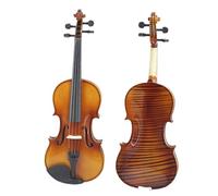 Violin Kit Professional 4/4 3/4 1/2 1/4 With Case Bow Strings Beginners Art Violin(4/4)