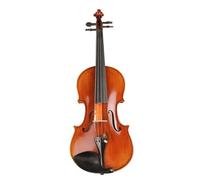 Violin Kit Professional Violin 20 Years Old Naturally Dried Stripes Maple Hand-craft Varnish 4/4 3/4 Violin(4/4)