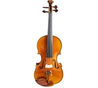 Violin Kit Spruce Handmade Violin Strong Tone Varnish Violin 4/4 Professional Golden Violino(3/4)