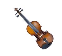 Violin Natural Spruce 1/2 Maple Side Panels With Case