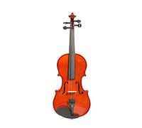 Violin Outfit, Acoustic Violin, 4/4 Full Size Original Violin For Adult Violin Beginner(3/4)