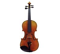 Violin Outfit, Acoustic Violin, 4/4 Solid Wood Electric Silent Violin With Chin Rest, Ebony Fittings, Carrying Hard Case