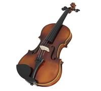 Violin Professional 4/4 Acoustic Violin Maple Violino Vintage Style Violin With Case Bow Beginner (Color : 1/2)