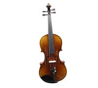 Violin Professional Handmade Violin Maple Full Size With Hard Case Shoulder Rest Bow Strings Mute(1/4)