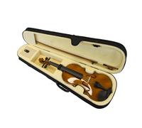 Violin Set 4/4 in ase, Bow and Accessories, Violin