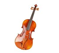 Violin Set Professional Antique Natural Stripes Maple Master Hand-craft Varnishing Violino With Case Bow Violin 4/4 3/4 1/2 1/4 (Color : 1/2)