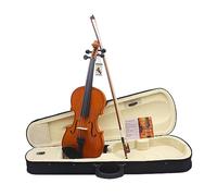 Violin Spruce Wood Violin Adult Beginner Violin Test Grade Playing 4/4 Violin (Color : 4/4)