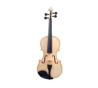 Violin Starter Kit 4/4 Acoustic Violin Set Beginner Fiddle High Gloss Finish With Bow String Case Whole SET