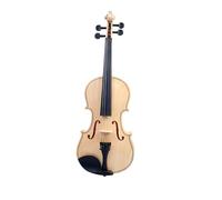 Violin Starter Kit 4/4 Acoustic Violin Set Fiddle High Gloss Finish Panel With Bow String Case Whole SET