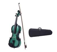 Violin Starter Kit 4/4 Beginner Violin Handmade Fiddle Bridge Brazilwood Stick Bow Case Whole KIT